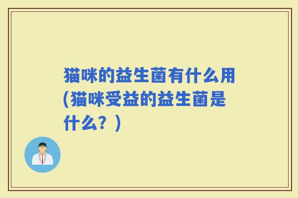 猫咪的益生菌有什么用(猫咪受益的益生菌是什么？)