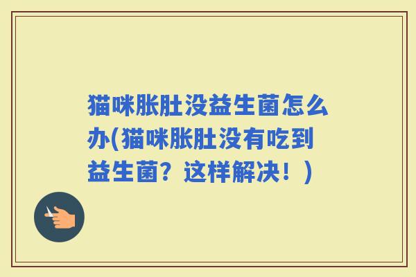 猫咪胀肚没益生菌怎么办(猫咪胀肚没有吃到益生菌？这样解决！)