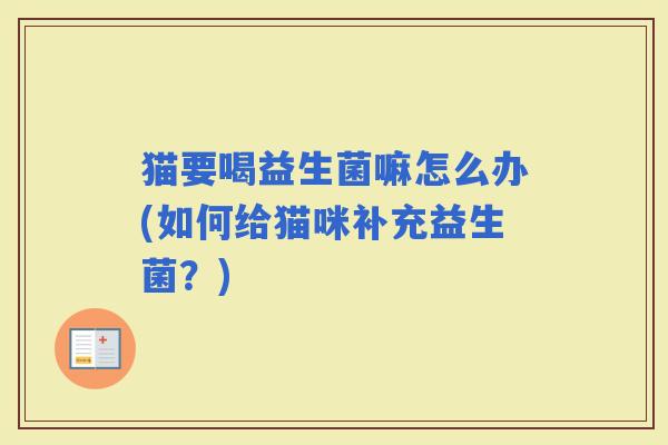 猫要喝益生菌嘛怎么办(如何给猫咪补充益生菌？)