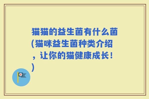猫猫的益生菌有什么菌(猫咪益生菌种类介绍，让你的猫健康成长！)