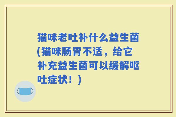 猫咪老吐补什么益生菌(猫咪肠胃不适，给它补充益生菌可以缓解症状！)