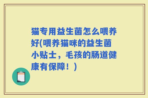 猫专用益生菌怎么喂养好(喂养猫咪的益生菌小贴士，毛孩的肠道健康有保障！)