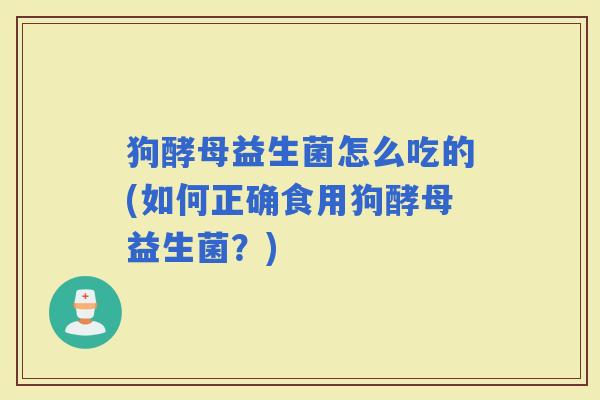 狗酵母益生菌怎么吃的(如何正确食用狗酵母益生菌？)