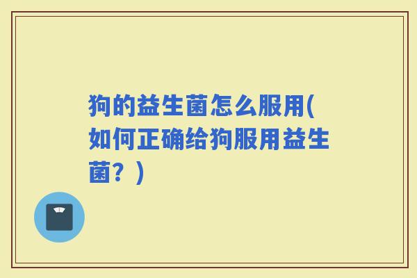 狗的益生菌怎么服用(如何正确给狗服用益生菌?) 狗的益生菌怎么服用(如何正确给狗服用益生菌?)