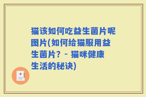 猫该如何吃益生菌片呢图片(如何给猫服用益生菌片？- 猫咪健康生活的秘诀)