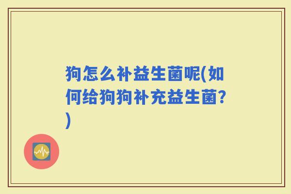 狗怎么补益生菌呢(如何给狗狗补充益生菌？)