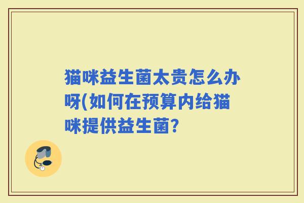 猫咪益生菌太贵怎么办呀(如何在预算内给猫咪提供益生菌？