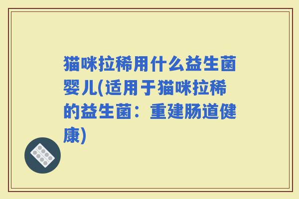 猫咪拉稀用什么益生菌婴儿(适用于猫咪拉稀的益生菌：重建肠道健康)