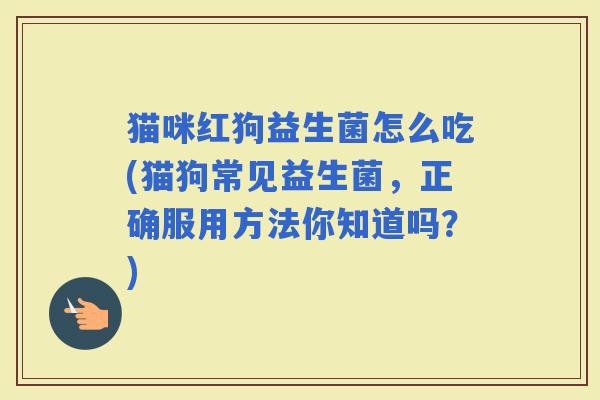 猫咪红狗益生菌怎么吃(猫狗常见益生菌，正确服用方法你知道吗？)