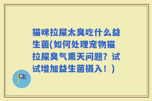 猫咪拉屎太臭吃什么益生菌(如何处理宠物猫拉屎臭气熏天问题?试试增加益生菌摄入!) 猫咪拉屎太臭吃什么益生菌(如何处理宠物猫拉屎臭气熏天问题?试试增加益生菌摄入!)