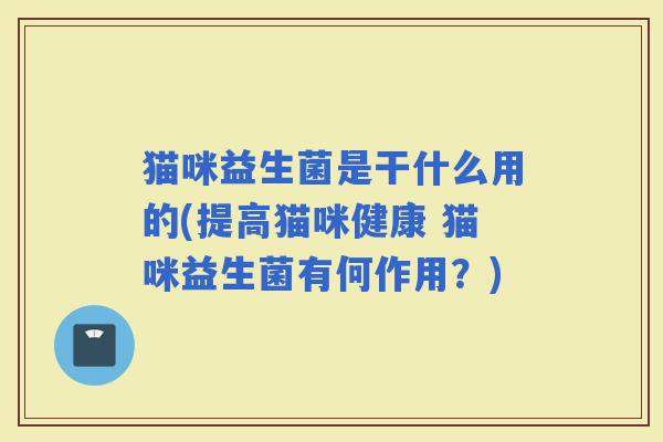猫咪益生菌是干什么用的(提高猫咪健康 猫咪益生菌有何作用？)