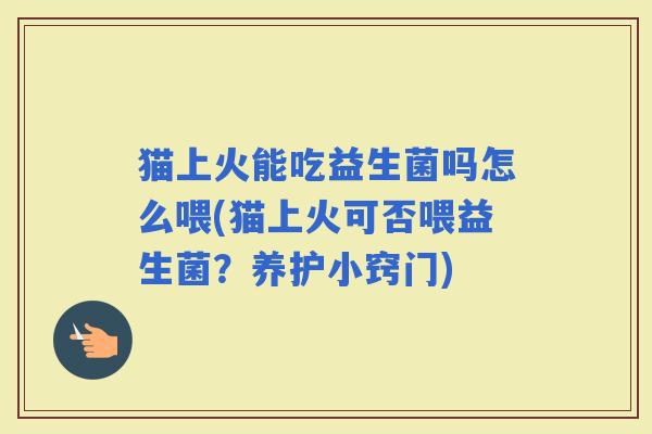 猫上火能吃益生菌吗怎么喂(猫上火可否喂益生菌？养护小窍门)