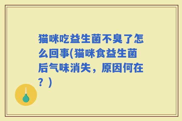 猫咪吃益生菌不臭了怎么回事(猫咪食益生菌后气味消失，原因何在？)