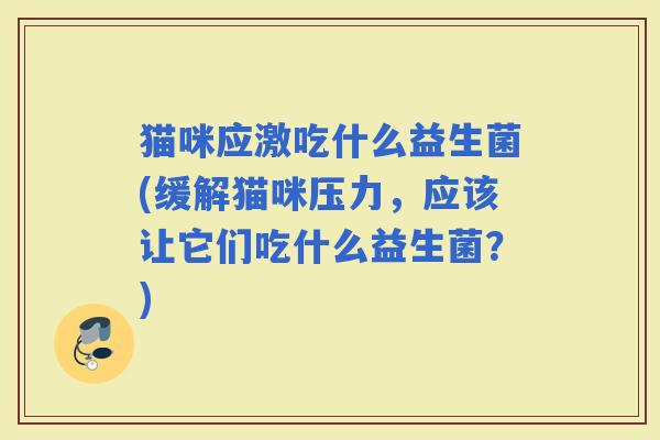 猫咪应激吃什么益生菌(缓解猫咪压力，应该让它们吃什么益生菌？)