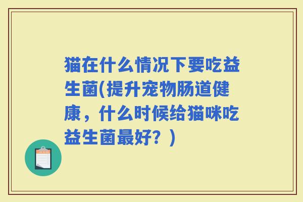 猫在什么情况下要吃益生菌(提升宠物肠道健康，什么时候给猫咪吃益生菌好？)