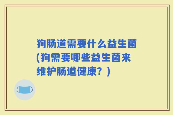 狗肠道需要什么益生菌(狗需要哪些益生菌来维护肠道健康？)