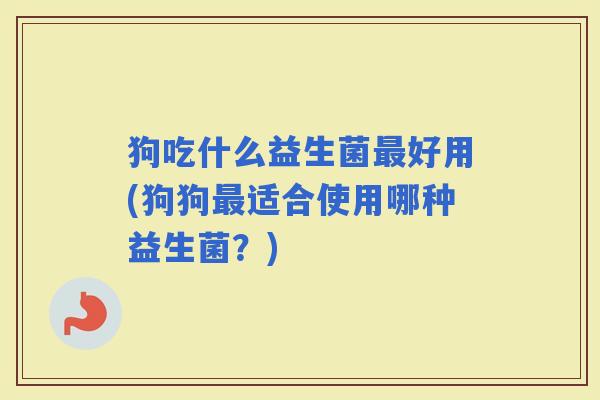 狗吃什么益生菌好用(狗狗适合使用哪种益生菌？)