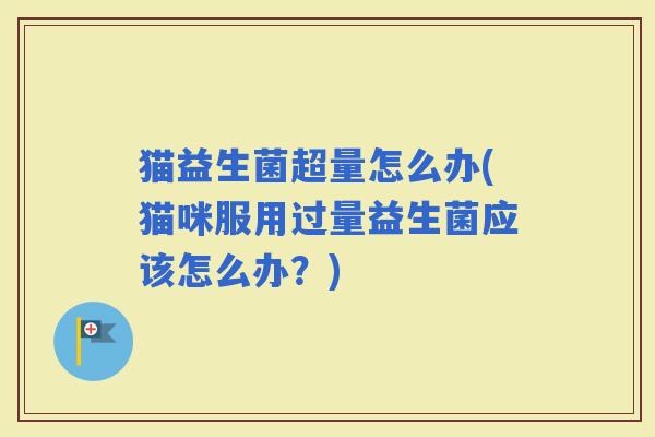 猫益生菌超量怎么办(猫咪服用过量益生菌应该怎么办？)