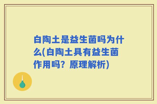 白陶土是益生菌吗为什么(白陶土具有益生菌作用吗?原理解析) 白陶土是益生菌吗为什么(白陶土具有益生菌作用吗?原理解析)