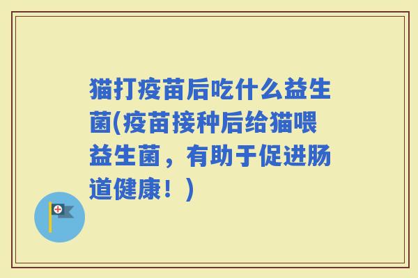 猫打疫苗后吃什么益生菌(疫苗接种后给猫喂益生菌,有助于促进肠道健康!) 猫打疫苗后吃什么益生菌(疫苗接种后给猫喂益生菌,有助于促进肠道健康!)