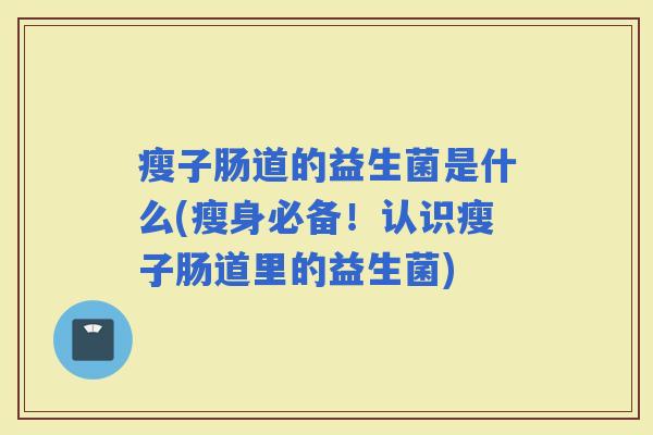 瘦子肠道的益生菌是什么(瘦身必备！认识瘦子肠道里的益生菌)