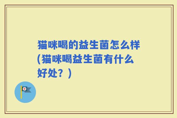 猫咪喝的益生菌怎么样(猫咪喝益生菌有什么好处？)
