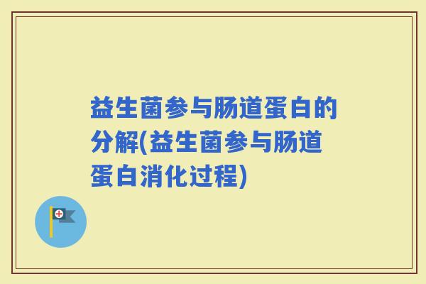 益生菌参与肠道蛋白的分解(益生菌参与肠道蛋白消化过程)