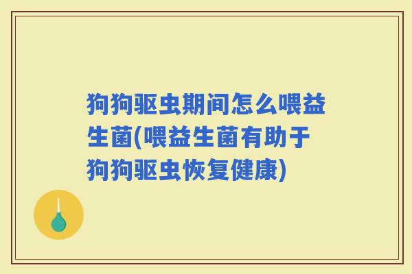 狗狗驱虫期间怎么喂益生菌(喂益生菌有助于狗狗驱虫恢复健康)