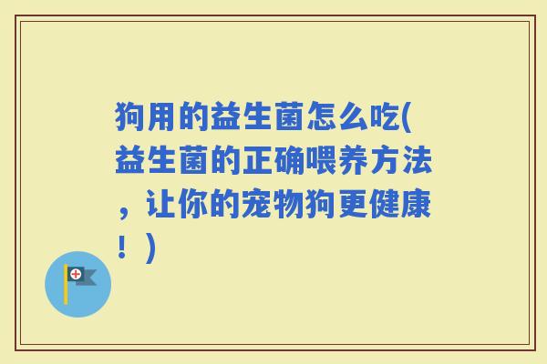 狗用的益生菌怎么吃(益生菌的正确喂养方法,让你的宠物狗更健康!) 狗用的益生菌怎么吃(益生菌的正确喂养方法,让你的宠物狗更健康!)