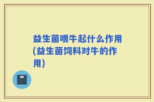 益生菌喂牛起什么作用(益生菌饲料对牛的作用)