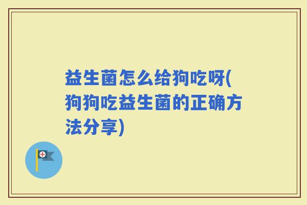 益生菌怎么给狗吃呀(狗狗吃益生菌的正确方法分享)