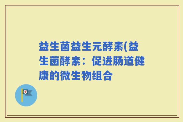 益生菌益生元酵素(益生菌酵素：促进肠道健康的微生物组合