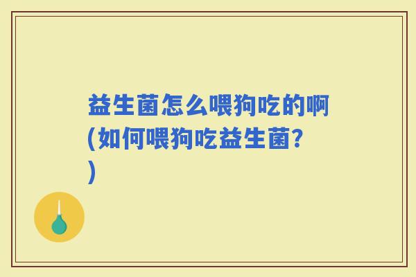 益生菌怎么喂狗吃的啊(如何喂狗吃益生菌?) 益生菌怎么喂狗吃的啊(如何喂狗吃益生菌?)
