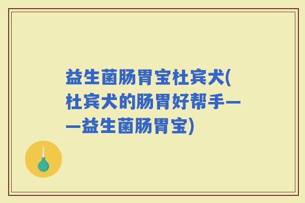益生菌肠胃宝杜宾犬(杜宾犬的肠胃好帮手——益生菌肠胃宝)