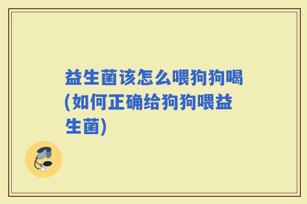 益生菌该怎么喂狗狗喝(如何正确给狗狗喂益生菌)