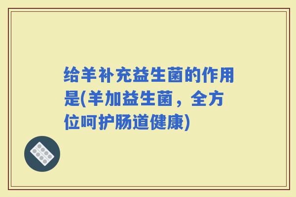 给羊补充益生菌的作用是(羊加益生菌，全方位呵护肠道健康)