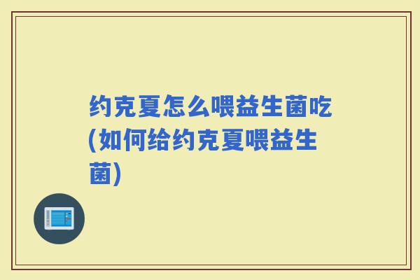 约克夏怎么喂益生菌吃(如何给约克夏喂益生菌)