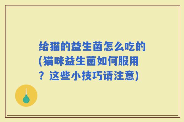 给猫的益生菌怎么吃的(猫咪益生菌如何服用？这些小技巧请注意)