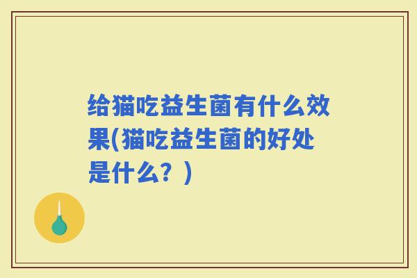 给猫吃益生菌有什么效果(猫吃益生菌的好处是什么？)