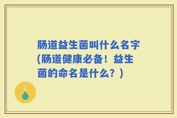 肠道益生菌叫什么名字(肠道健康必备！益生菌的命名是什么？)