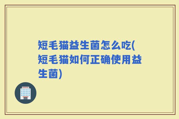 短毛猫益生菌怎么吃(短毛猫如何正确使用益生菌)