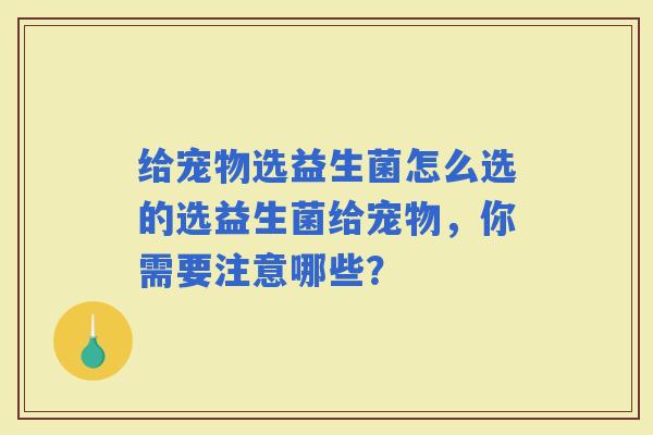 给宠物选益生菌怎么选的选益生菌给宠物，你需要注意哪些？