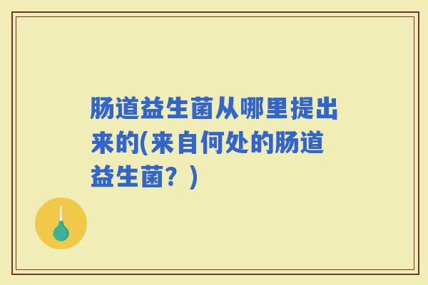 肠道益生菌从哪里提出来的(来自何处的肠道益生菌？)
