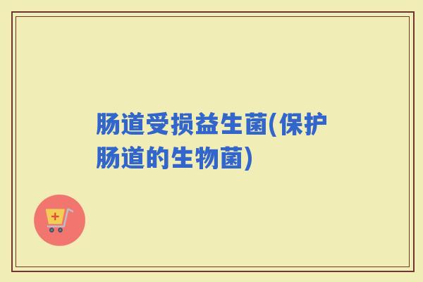 肠道受损益生菌(保护肠道的生物菌) 肠道受损益生菌(保护肠道的生物菌)