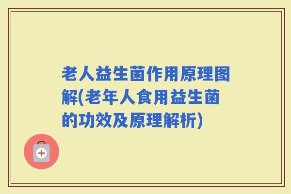 老人益生菌作用原理图解(老年人食用益生菌的功效及原理解析)