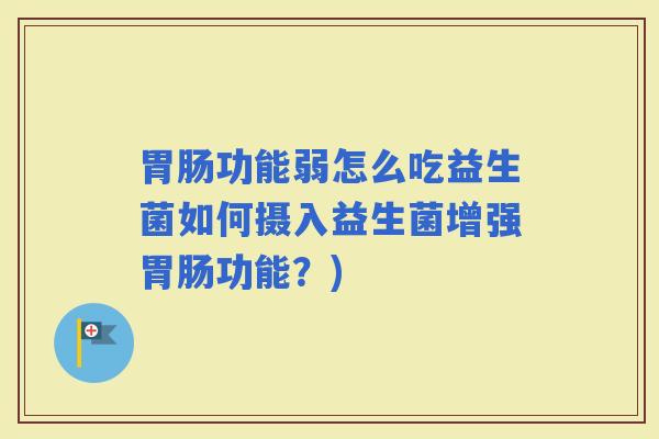 功能弱怎么吃益生菌如何摄入益生菌增强功能？)