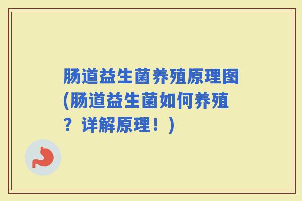 肠道益生菌养殖原理图(肠道益生菌如何养殖?详解原理!) 肠道益生菌养殖原理图(肠道益生菌如何养殖?详解原理!)