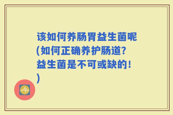 该如何养肠胃益生菌呢(如何正确养护肠道?益生菌是不可或缺的!) 该如何养肠胃益生菌呢(如何正确养护肠道?益生菌是不可或缺的!)