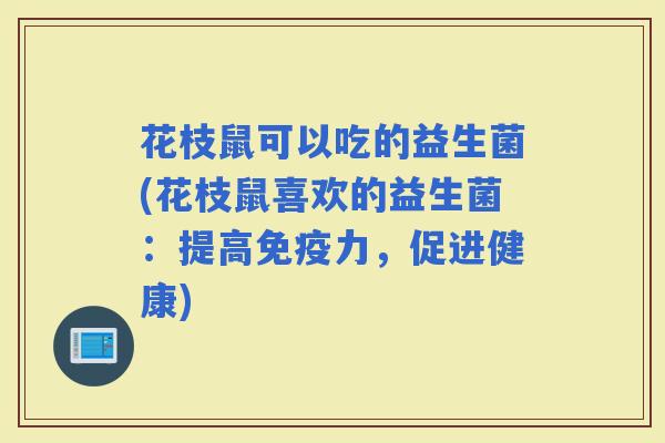 花枝鼠可以吃的益生菌(花枝鼠喜欢的益生菌:提高力,促进健康) 花枝鼠可以吃的益生菌(花枝鼠喜欢的益生菌:提高力,促进健康)