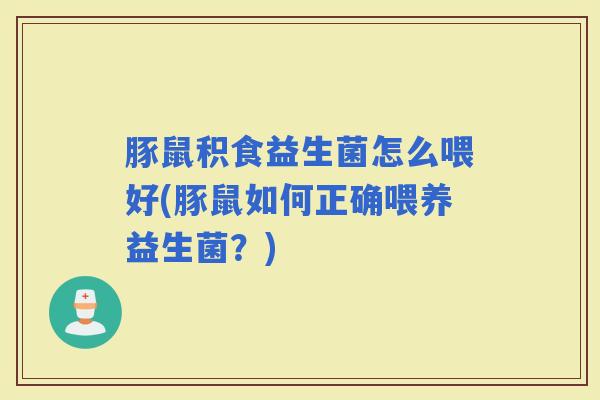 豚鼠积食益生菌怎么喂好(豚鼠如何正确喂养益生菌?) 豚鼠积食益生菌怎么喂好(豚鼠如何正确喂养益生菌?)